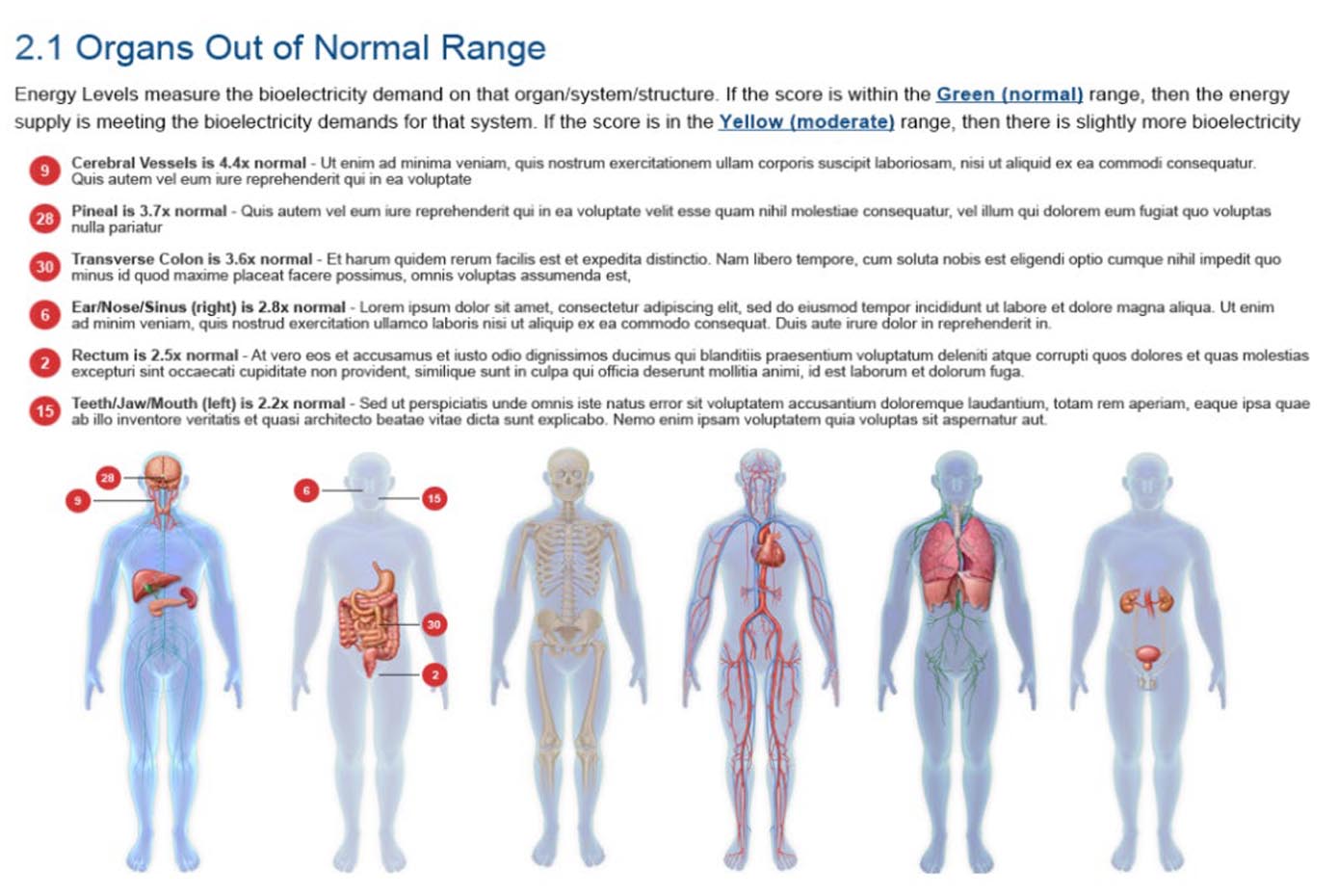 Organs Out of Normal Range: body maps flagging the organs whose energy demand runs above normal