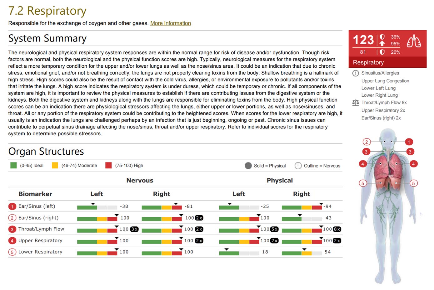 Respiratory system detail: summary, organ-structure scores, and a per-biomarker breakdown